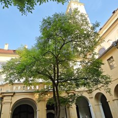 MVIMG_20250609_190530