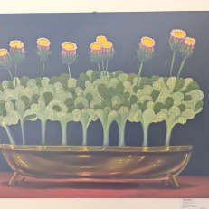 MVIMG_20250609_191015