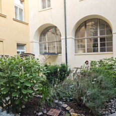MVIMG_20250609_191150