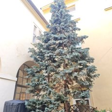 MVIMG_20250609_191200