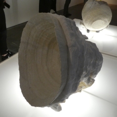 P1910004