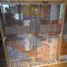 P1910037