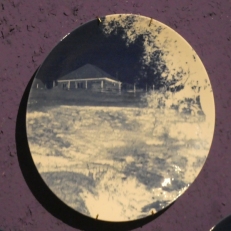 P1910050