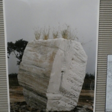P2110252