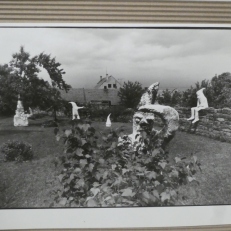 P2110254