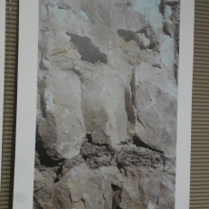 P2110291