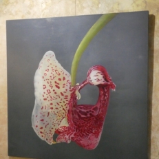 P1890231