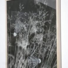 P1930634