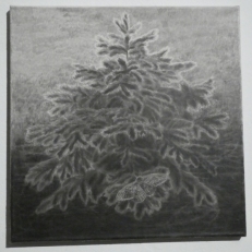 P1960041