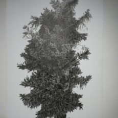 P1960042