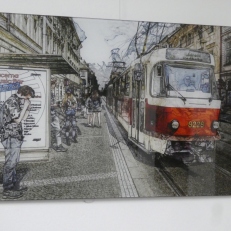 P1910457