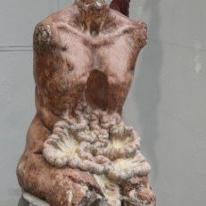 P1890931