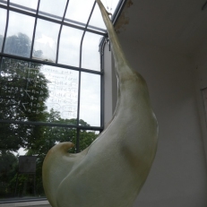 P1890941