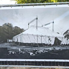 IMG_20250812_154206