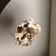 IMG_20250825_134734
