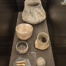 IMG_20250825_135251