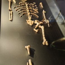 IMG_20250825_135635