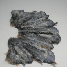 P1930561