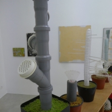 P1920337