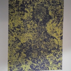 P1880168