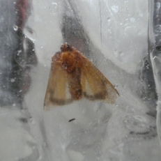 P2140482