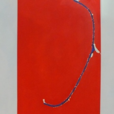 DSCF4370