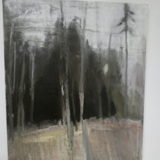 P1950036