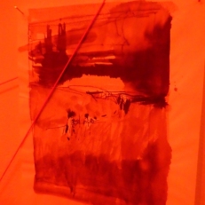 P1950057