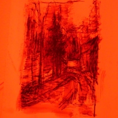 P1950058