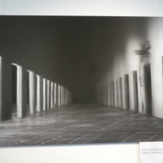 P1890141