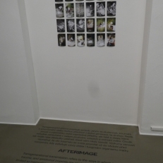 P2110206