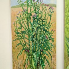 IMG_20250819_185410