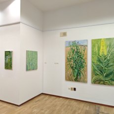 IMG_20250819_185958