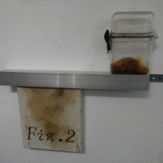 P1940923