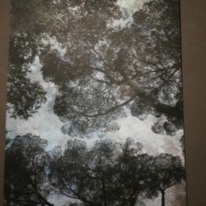 P1860752