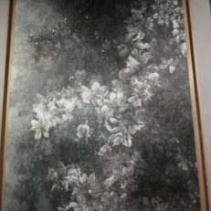 P1860753