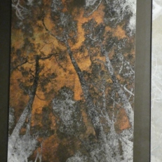 P1860754