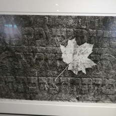 P1930187