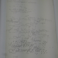 P1870233