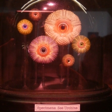 P1890392