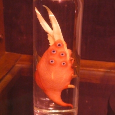 P1890393