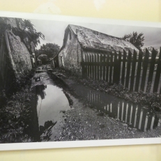 P1930993