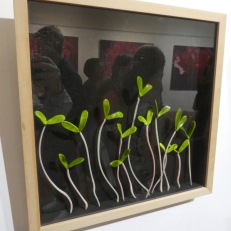 P1930687
