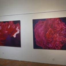 P1930688