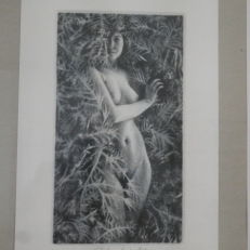 P2140086