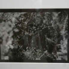P1920464