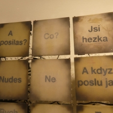P2130268