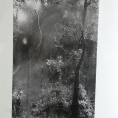 P2080661