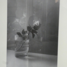 P2080674
