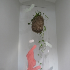 P1930353